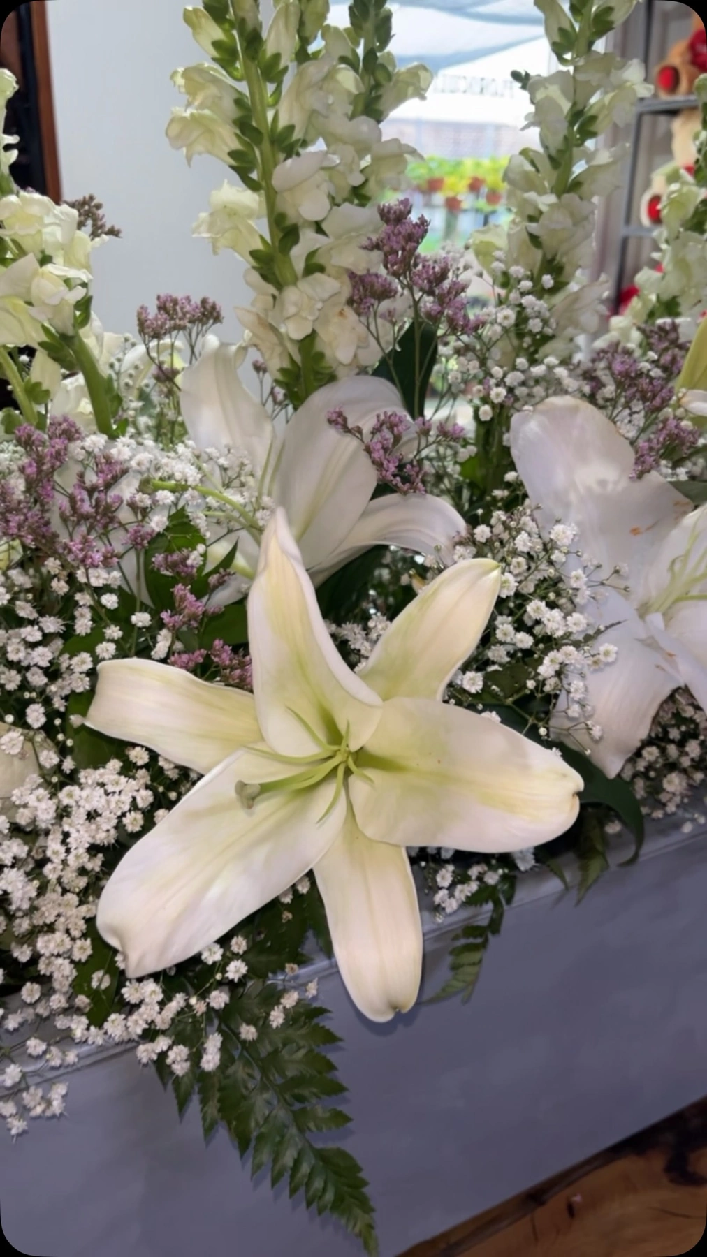 Flores e plantas da Rose & Flor